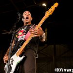 The Casualties