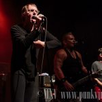 The Dickies