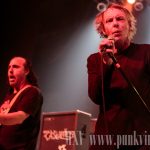 The Dickies